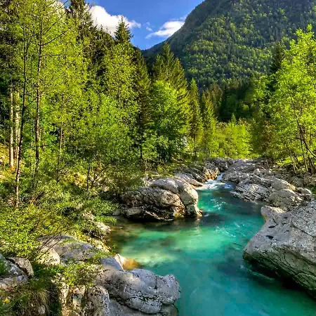 Apartman Apartma Gaja