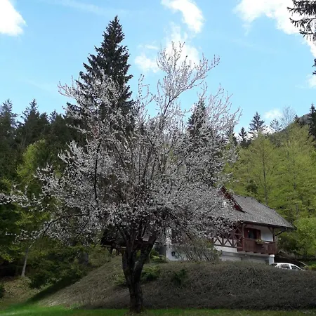 Apartman Apartma Gaja Kranjska Gora