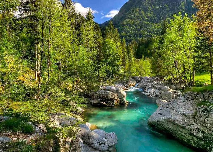 Διαμέρισμα Apartma Gaja