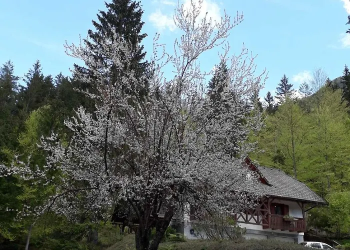 Διαμέρισμα Apartma Gaja Kranjska Gora